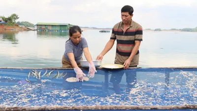 Nghề làm bánh tráng cá cơm của ngư dân làng chài trên núi