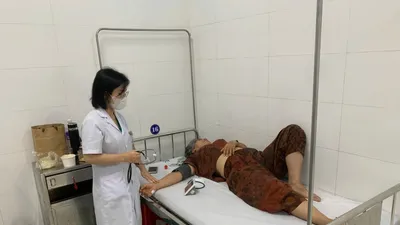 Gia Lai: Nguyên nhân gây ngộ độc sau ăn bánh mì là do vi khuẩn Salmonella spp