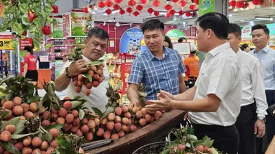 Vải Thiều lục ngạn đang được trưng bày bán tại CoopXtra Linh Trung, TPHCM