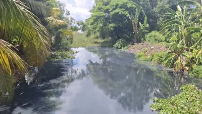 Cà Mau: Bãi rác quá tải, gây ô nhiễm nặng nề