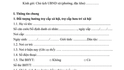 Tờ khai đề nghị trợ cấp xã hội, trợ cấp hưu trí xã hội theo quy định mới. Ảnh: Chụp màn hình