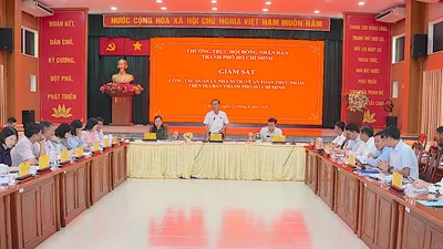Đồng chí Huỳnh Thanh Nhân phát biểu chỉ đạo tại buổi giám sát. QUANG HUY