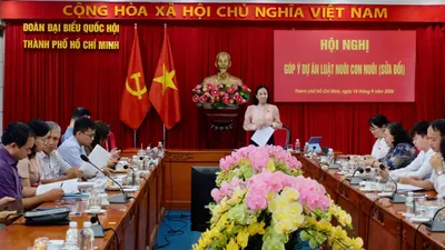 Góp ý hoàn thiện Luật Nuôi con nuôi, tăng cường bảo vệ trẻ em