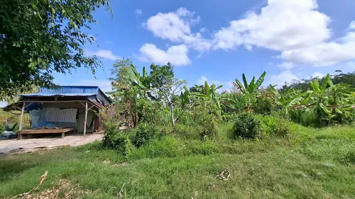Cà Mau: Thu hồi đất dự án Trung tâm sản xuất giống cây rừng chất lượng cao