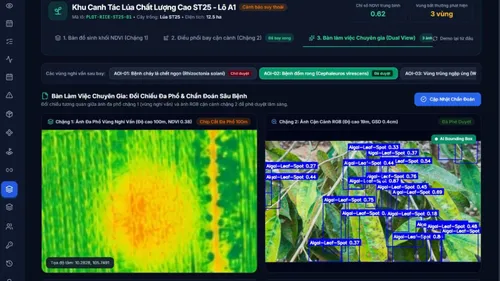 VNPT phát triển nền tảng dữ liệu UAV và AI cho quản lý sản xuất nông nghiệp