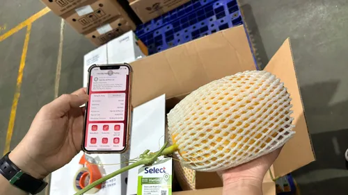Người tiêu dùng có thể quét mã QR để tiếp cận thông tin truy xuất nguồn gốc sản phẩm. ẢNH MINH XUÂN