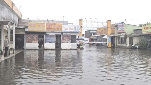  Mưa lớn, triều cường dâng cao ở Cà Mau khiến nhiều nơi ngập sâu 