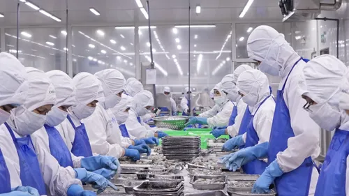 Cofidec đa dạng hóa sản phẩm xuất khẩu 
