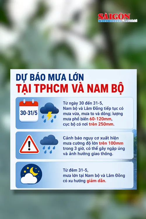 Theo thông tin từ Trung tâm Dự báo khí tượng - thủy văn quốc gia, trong ngày 29-5, khu vực Nam bộ và tỉnh Lâm Đồng đã có mưa, cục bộ có nơi mưa to và dông.