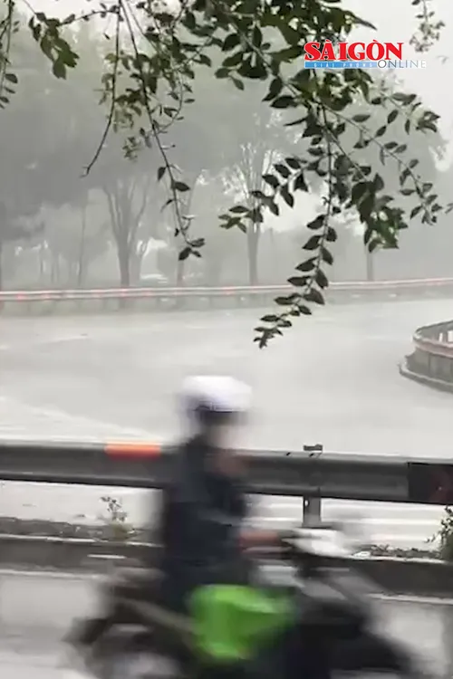 Theo các chuyên gia khí tượng, từ sáng đến trưa 5-5, Nam bộ và TPHCM ít mưa; đến chiều và tối, có nguy cơ xuất hiện mưa dông kèm lốc sét và gió giật mạnh.