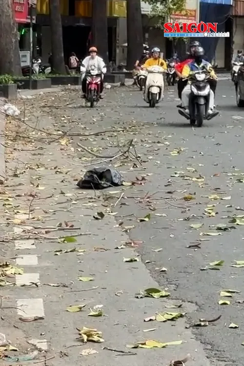 Chiều 17-5, TPHCM có gió mạnh, khi trời bắt đầu chuyển mưa, trên một số tuyến đường có nhiều nhánh cây rơi và một biển quảng cáo bị quật rơi xuống đường. 