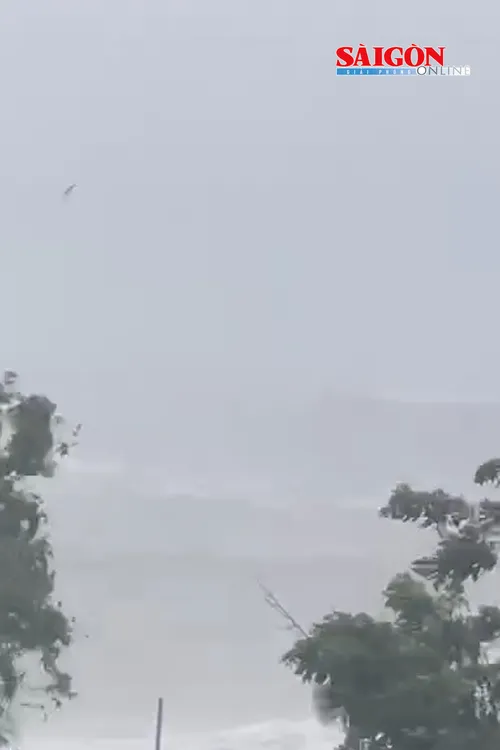 Dù khả năng đi vào Biển Đông thấp, hoàn lưu bão Bavi vẫn có thể gây gió mạnh, sóng cao, biển động mạnh trên nhiều vùng biển của Biển Đông từ ngày 9 đến 11-7.