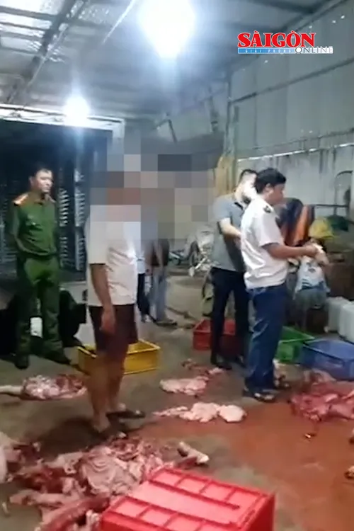 điều tra vụ gần 1 tấn thịt nghi nhiễm dịch tả heo châu Phi