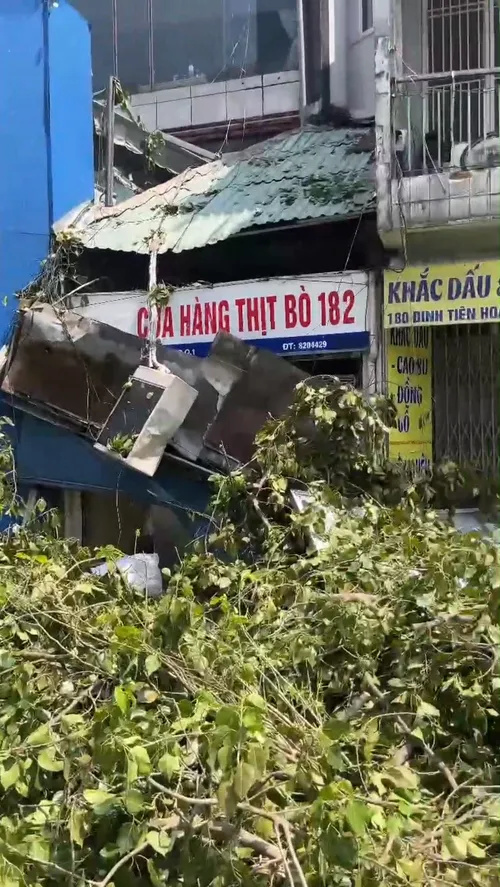 Cây bồ đề cổ thụ trên đường Đinh Tiên Hoàng bật gốc, một số nhà dân hư hại nhẹ