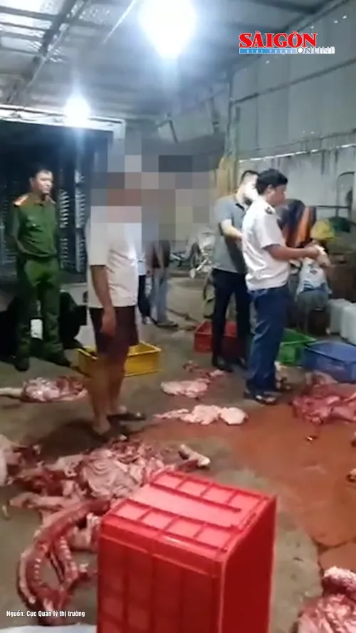 điều tra vụ gần 1 tấn thịt nghi nhiễm dịch tả heo châu Phi