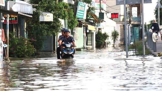 Triều cường gây ngập sâu tại khu vực cầu Phú Xuân, tiếp giáp huyện Nhà Bè và quận 7, TP.HCM. (Ảnh: Trần Xuân Tình/TTXVN)