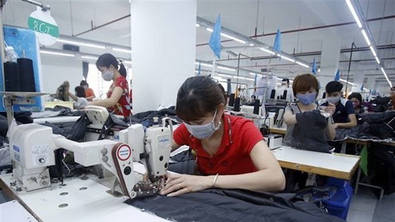 Công nhân dệt may. (Ảnh minh họa. Nguồn: TTXVN)