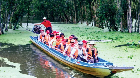 Rừng tràm Trà Sư - điểm du lịch hấp dẫn ở An Giang. Ảnh: Sao Mai