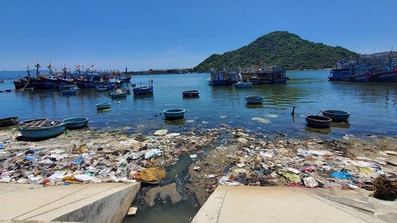 Waste accumulates in vast garbage patches at sea
