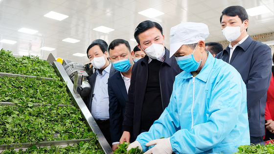 Đoàn lãnh đạo tỉnh Thanh Hóa tham quan dây chuyền sản xuất rau má của Công ty Phong Cách Mới