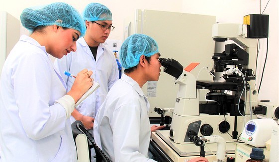Students of Vietnam National University in HCMC are making research (Photo: SGGP)