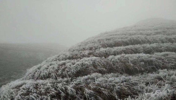 Ice, frost to reappear in Northern region from January, 2020