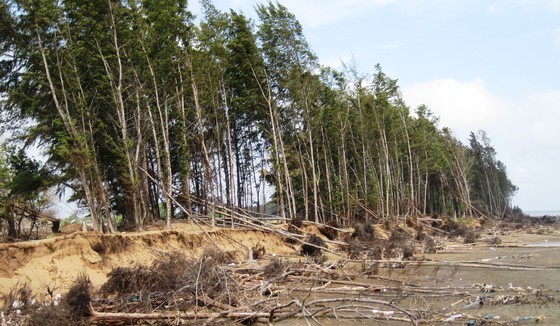 Landslide has been complicated in the Mekong Delta (Photo: SGGP)