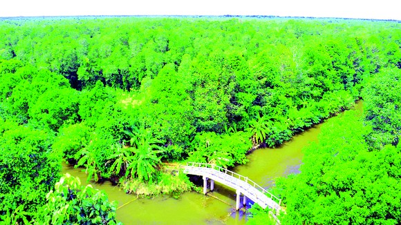 Từ tháp canh nhìn xuống Lung Ngọc Hoàng như lá phổi xanh của ĐBSCL
