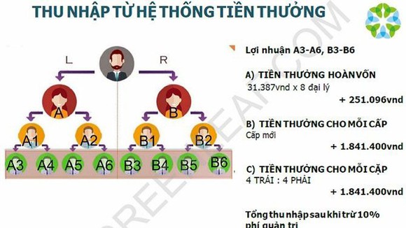 Bộ Công thương khuyến cáo người dân không tham gia Greenleaf