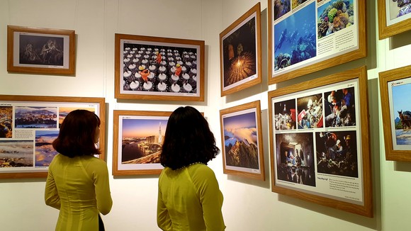Triển lãm Festival Nhiếp ảnh trẻ 2019 là sân chơi thú vị dành cho các bạn trẻ yêu nhiếp ảnh