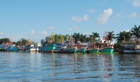 Several fishing vessels in Kien Giang Province are mooring at the dock although it is the main fishing season of the year. (Photo: SGGP)