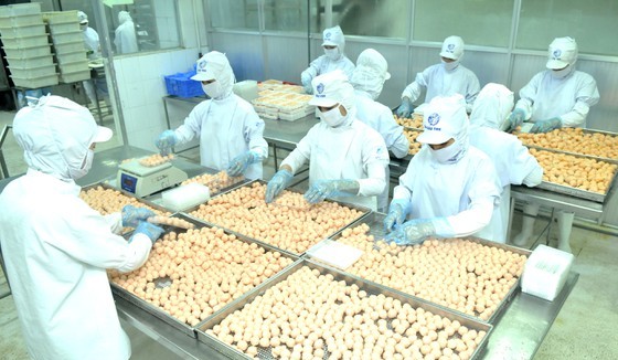 Food processing at a Korean company in Ho Chi Minh City. (Photo: SGGP)