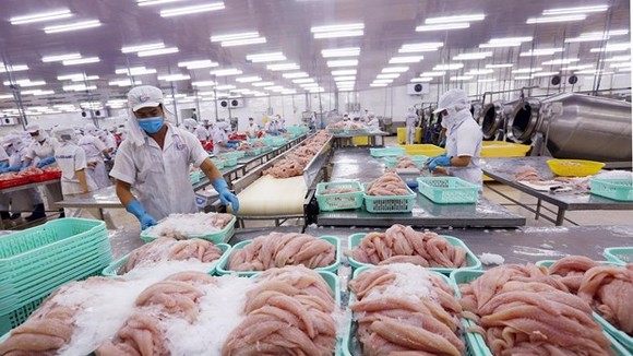 Processing seafood for exports (Photo: VNA)