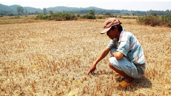 Severe drought, saline intrusion and lack of fresh water are prolonging in Mekong Delta provinces and cities