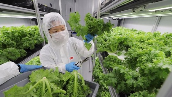 Illustrative image (Photo: https://www.straitstimes.com/)