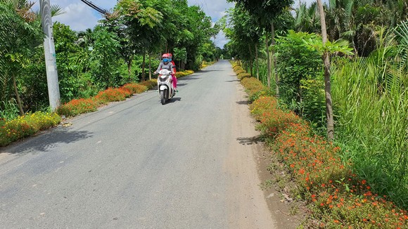 Các tuyến đường được trồng hoa ở xã Đa Phước, huyện Bình Chánh