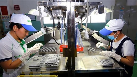 Một doanh nghiệp tại khu chế xuất Tân Thuận (Thành phố Hồ Chí Minh). (Nguồn: TTXVN)