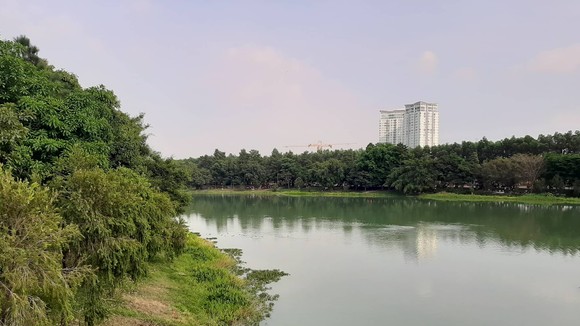 Khu vực xảy ra vụ việc. Ảnh: X.A