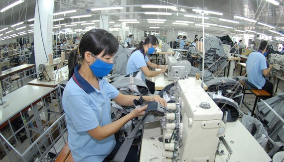 Nhiều doanh nghiệp may cho công nhân làm cách nhật để duy trì hoạt động sản xuất. Ảnh: CAO THĂNG