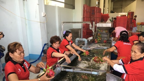 Nông sản cần nâng cao chất lượng đáp ứng yêu cầu của thị trường EU