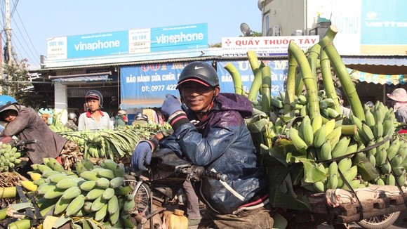 Nụ cười của nông dân vì chuối vừa được mùa vừa bán được giá cao.