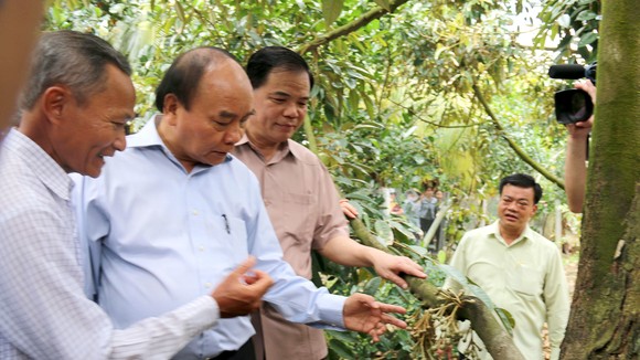 Thủ tướng Nguyễn Xuân Phúc khảo sát thực tế tại vườn sầu riêng của ông Võ Văn Phúc ở xã Hiệp Đức, huyện Cai Lậy, tỉnh Tiền Giang. Ảnh: NGUYỄN HỮU