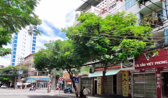 Coronavirus leaves Nha Trang City’s bustling backpacker street deserted.