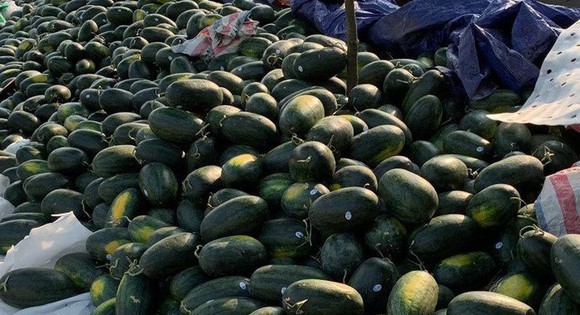 Đừng lạm dụng ''giải cứu''