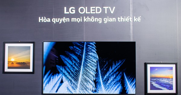 LG: Ra mắt TV OLED 8K, TV OLED và NanoCell cao cấp tại Việt Nam
