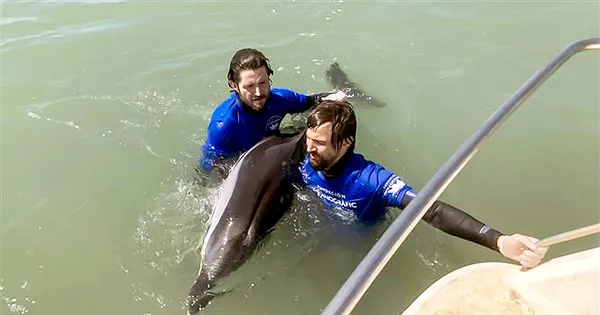 Liên minh bảo vệ sự sống đại dương