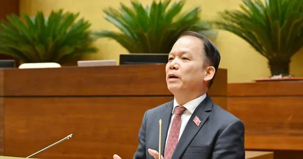 Chính sách phải đủ mạnh để thu hút và giữ chân người có năng lực làm luật sư công