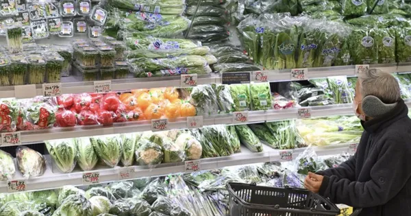 Nợ công Nhật Bản cao kỷ lục