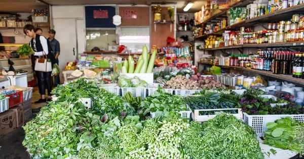 Ấm tình đồng hương nơi đất khách