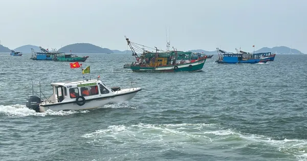 Làm rõ, xử nghiêm đối tượng cầm đầu vụ khai thác thủy sản trái phép ở vùng biển Kiên Lương